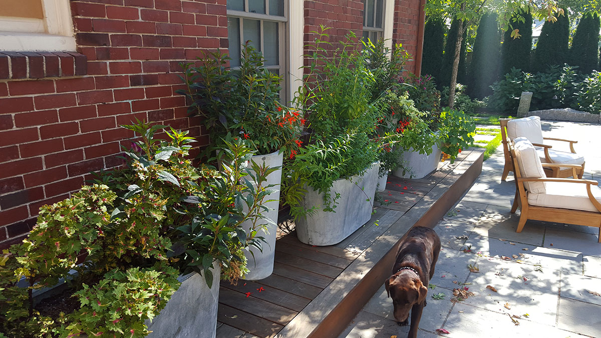 Planters Provide a Way to Soften the Patio