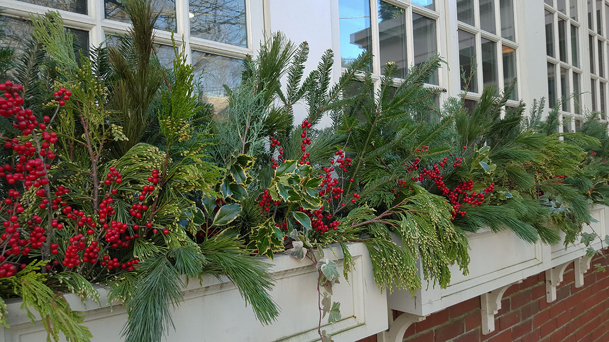 Window Boxes Provide Year-Round Interest