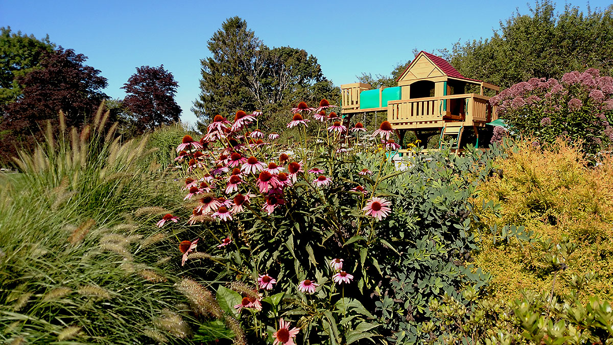 A Children's Garden Is Surrounded by Lush Plantings