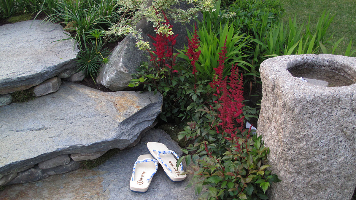 Newport Flower Show 2013