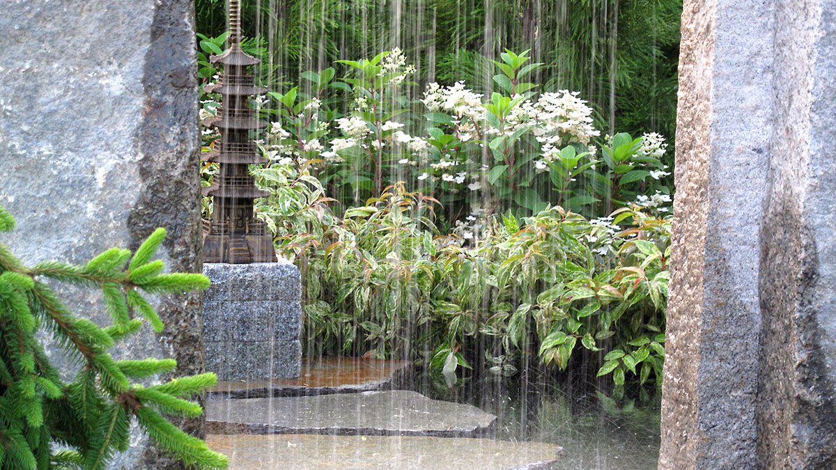 Newport Flower Show 2013