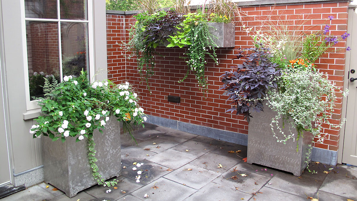 Custom Designed/Built Stainless Steel Planters With Annuals & Perennials