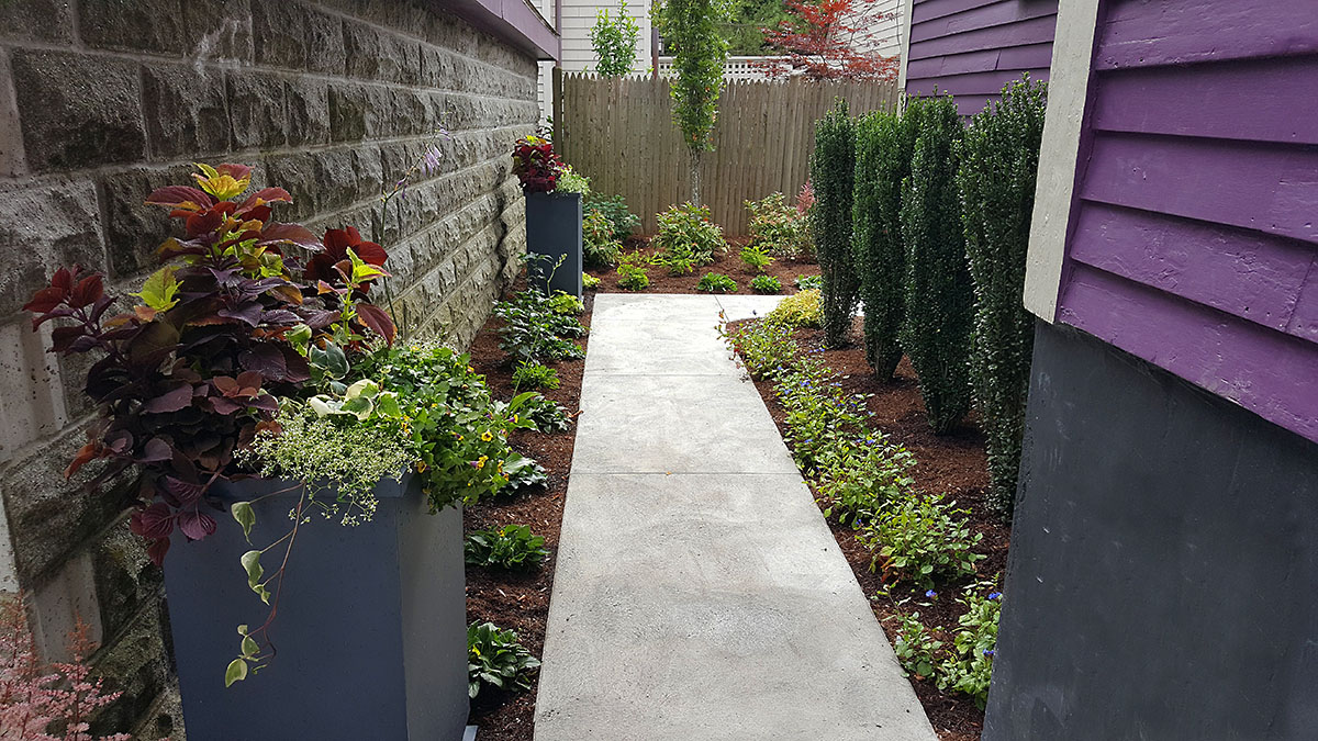 Guests Can Also Use the Back Entrance into the Hotel