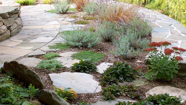 Take A Walk Around This Backyard Project