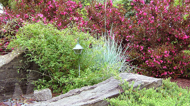 Plants and Stone, What A Beautiful Combination
