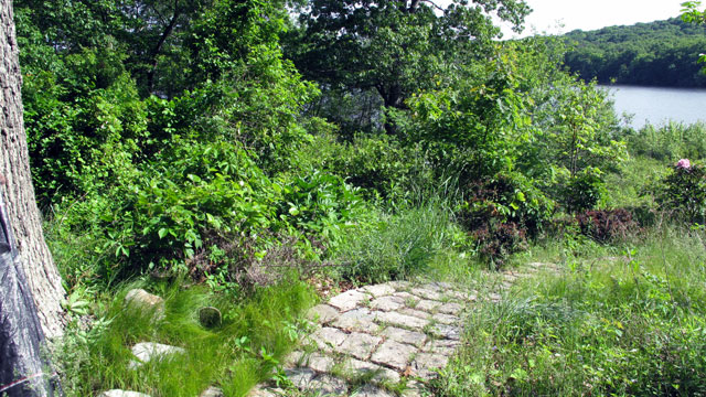 "Before" View Looking Downslope