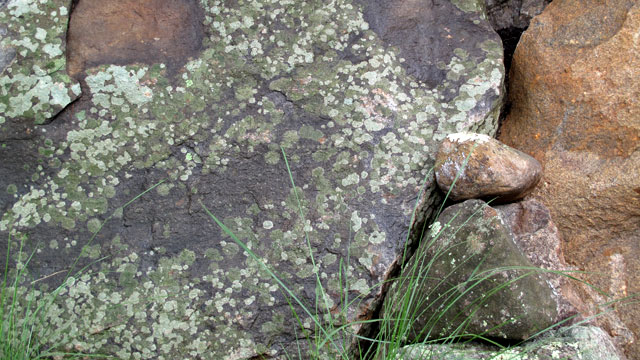 Beautiful Stone From The Site Was Used As Accents Throughout Garden