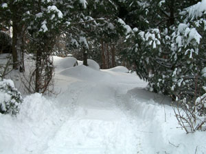 More Snow, REALLY???