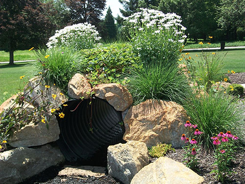 Playset or Plants? Both of Course!