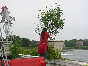 NFS Planting