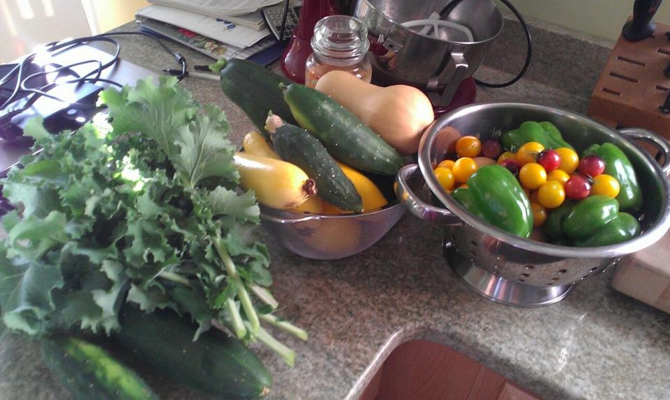 Vegetable Harvest