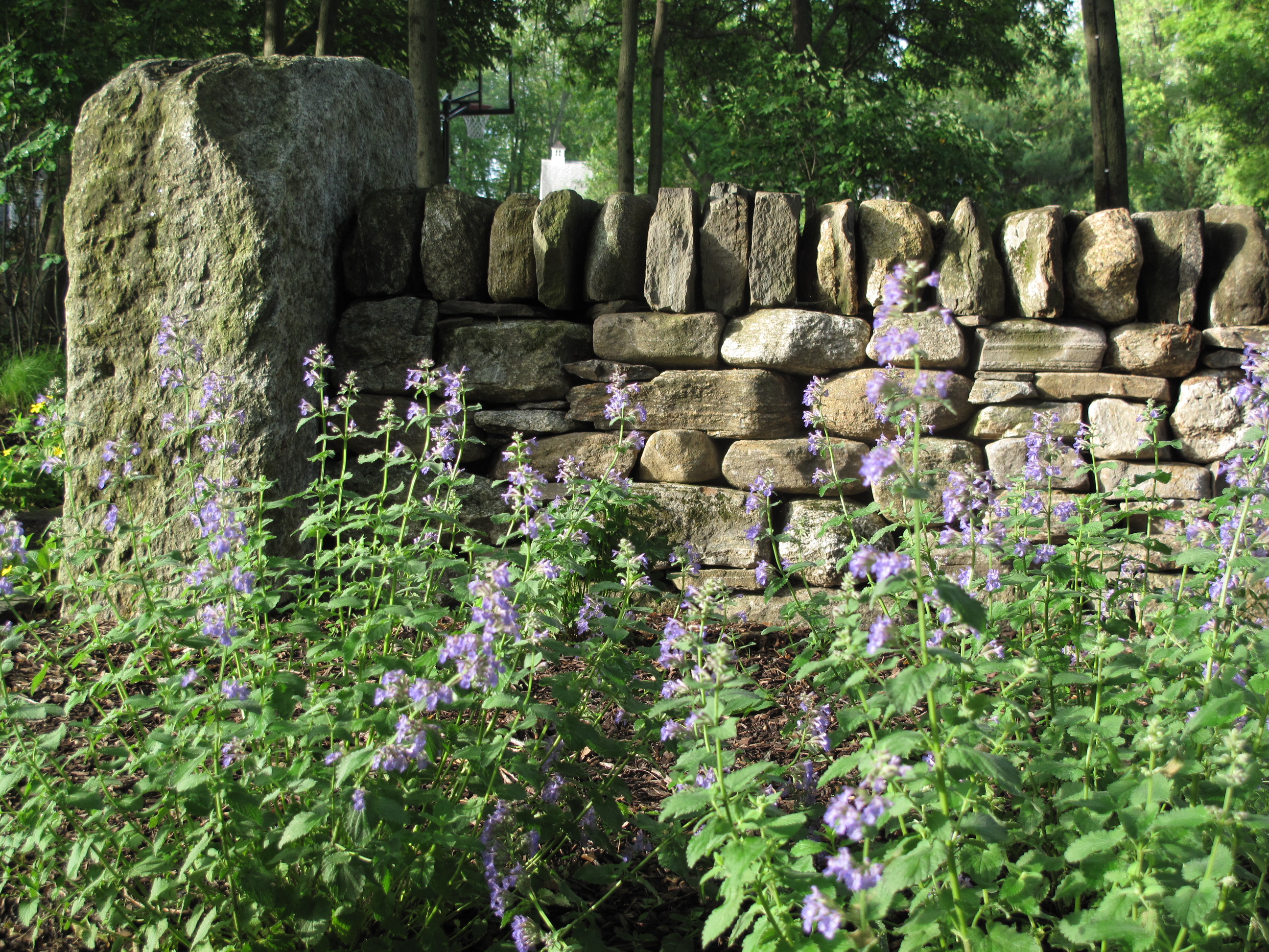StoneWall_Lawson