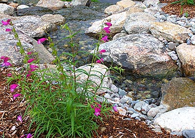 Contact Magma Landscape Design